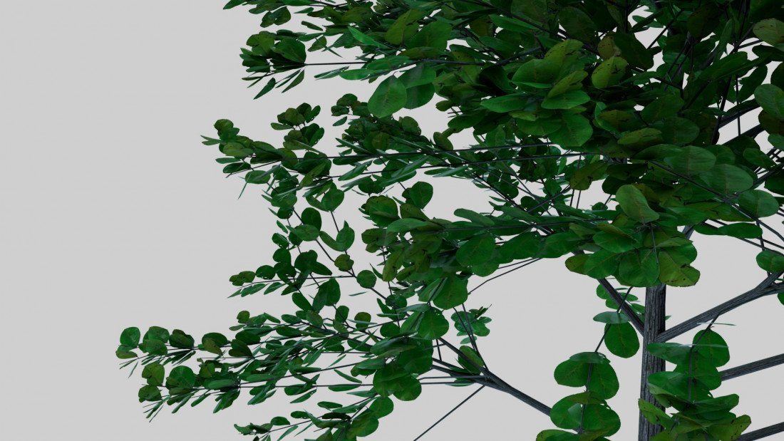/data/product/033_Tree_1/tree2.jpg