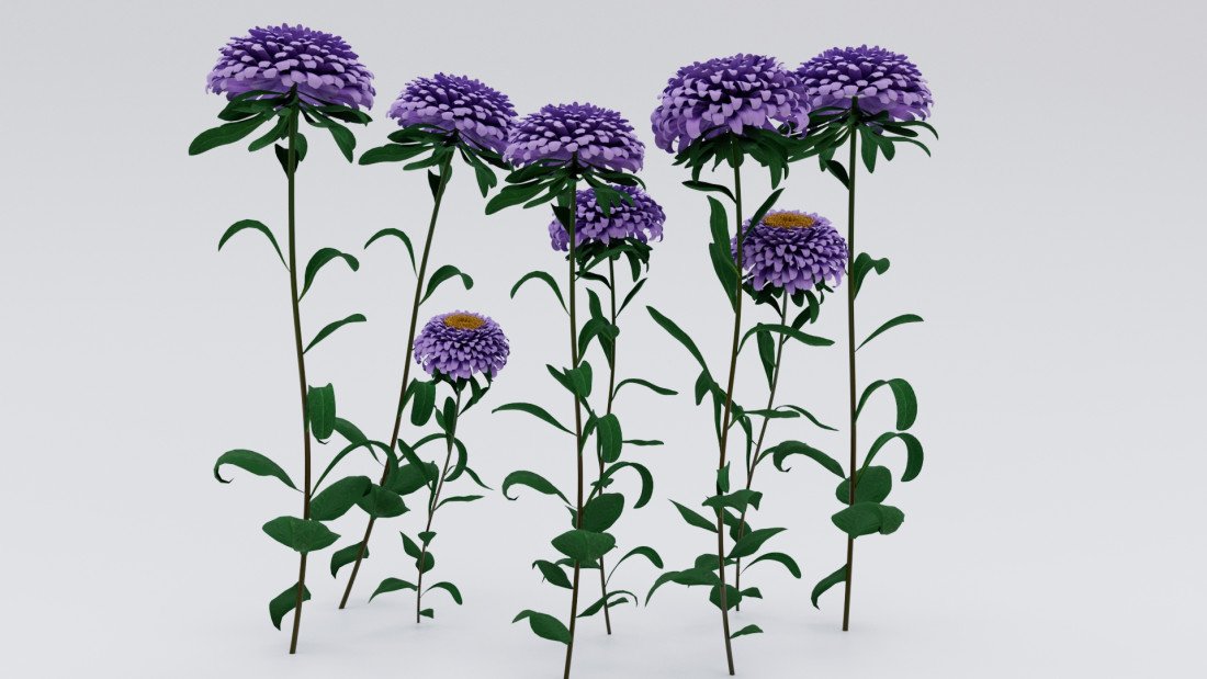 /data/product/43_Flower_02/1.jpg