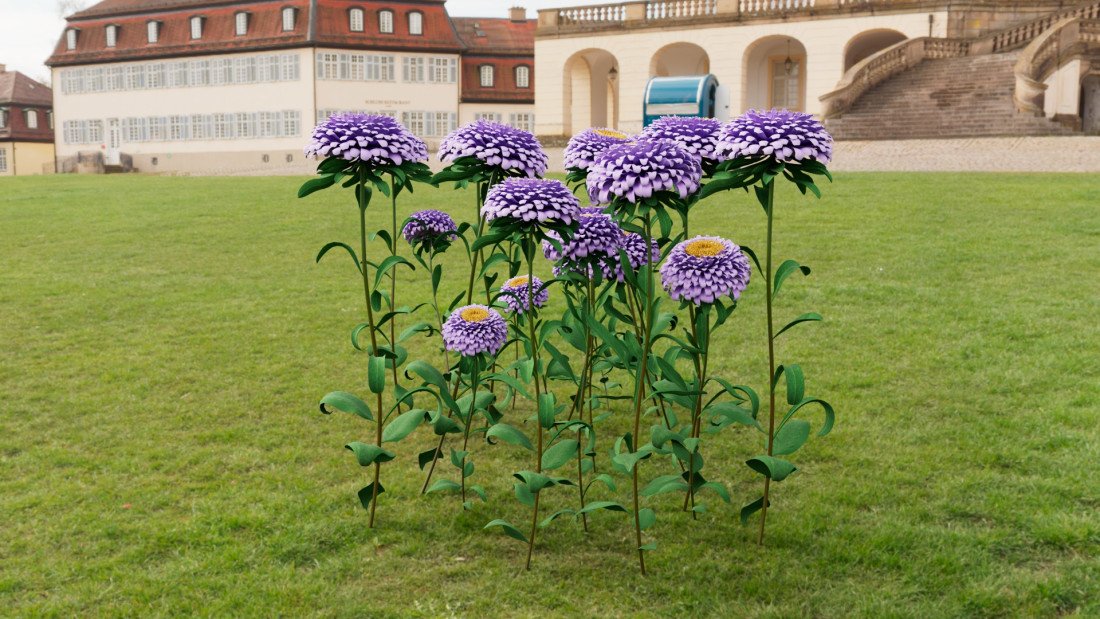 Flower