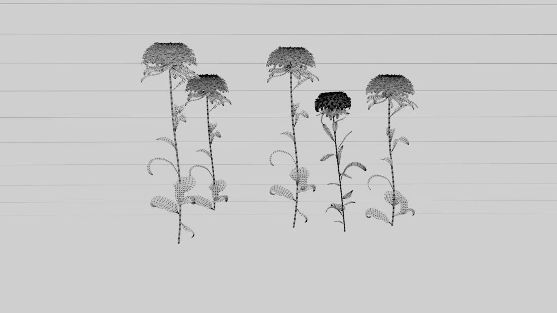 /data/product/43_Flower_02/5.jpg